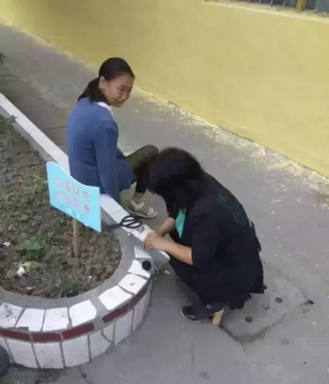 当你累了，就看看这17张图片吧！