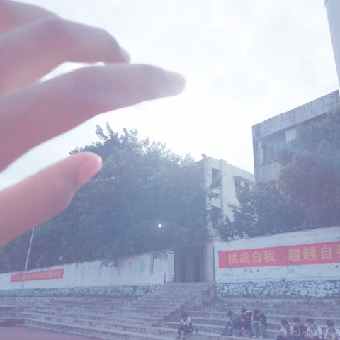 追随自己的心 追随自己的心