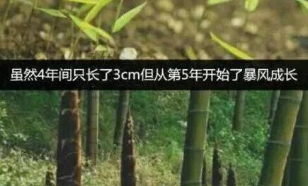 29岁年轻导演自杀,其实你离成功只差3厘米