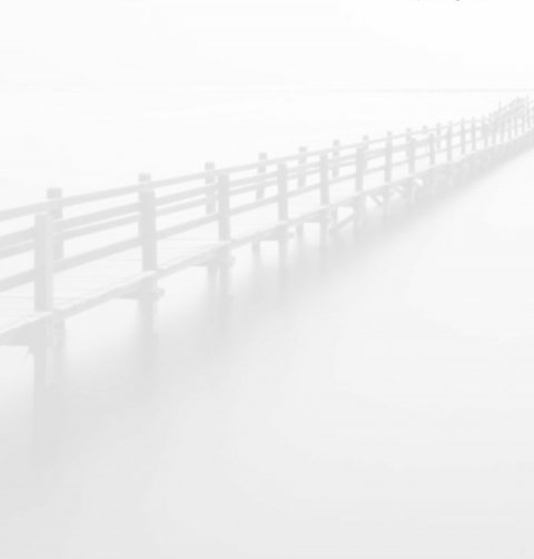 浮生若梦,一梦惊鸿 浮生若梦,一梦惊鸿
