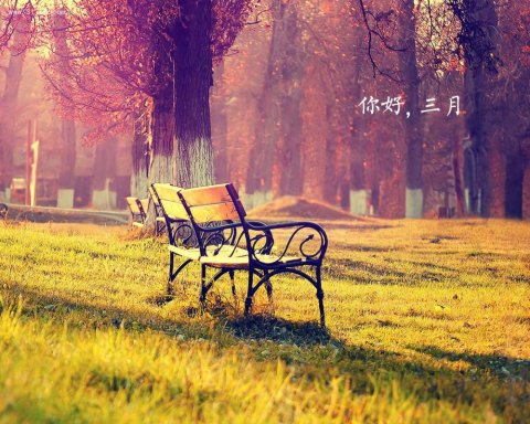 被我遗忘的时节与你怀中的梦