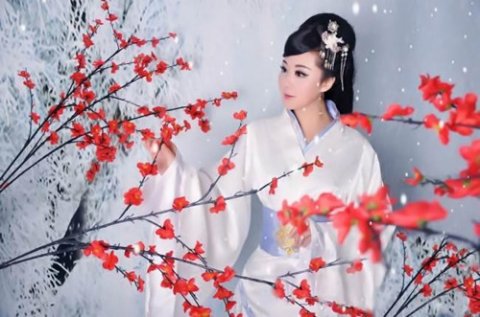 雪向梅花枝上堆,春从何处回? 雪向梅花枝上堆,春从何处回?