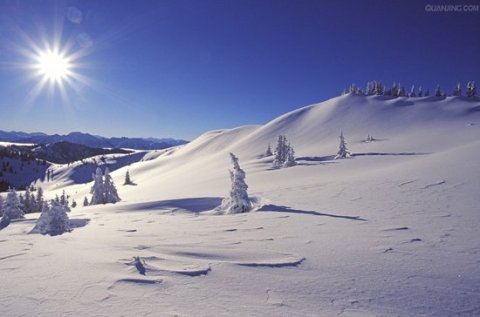 雪化了是什么？