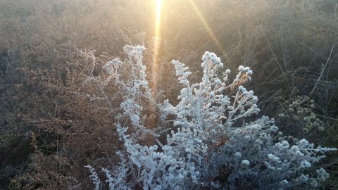 怨 怨
