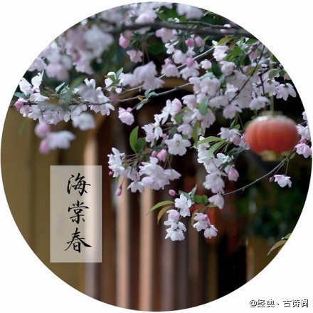 听雨-----听心 听雨-----听心