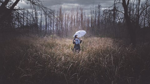那些年,我们把青春给了爱 那些年,我们把青春给了爱