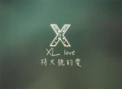 最有创意的爱情宣言X
