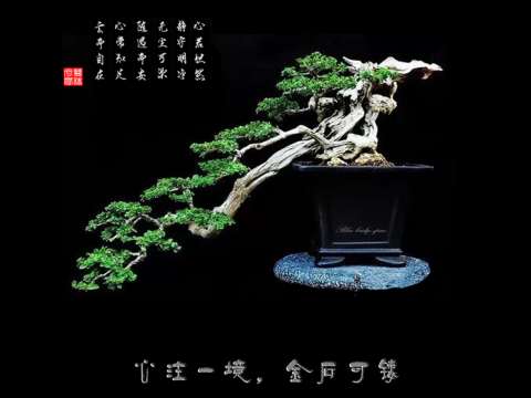 心注一境,金石可镂 心注一境,金石可镂