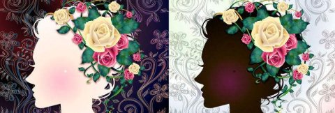 女人花 女人花