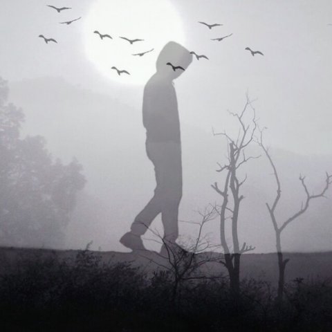 世间良人不知凡几,你最不识抬举。 世间良人不知凡几,你最不识抬举。