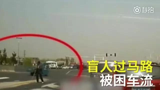 当你累了，就看看这17张图片吧！