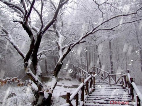 乘落雪的思绪，直抵春天的门楣