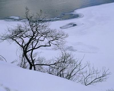 落雪村庄