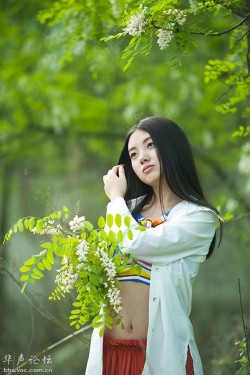 四月的槐花香