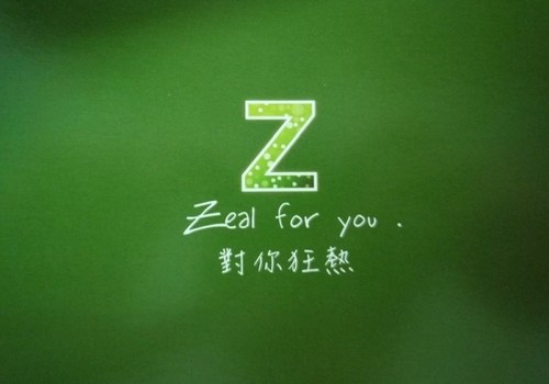 最有创意的爱情宣言Z
